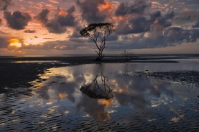 世界排球锦标赛：快节奏轮换考验替补深度，排球世界锦标赛2022